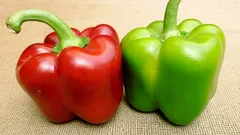 Červená alebo zelená: ktorá odroda papriky je zdravšia a čím sa líšia ich výživové vlastnosti?