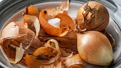 Hnojivo, ktoré zvyšuje úrodu všetkej zeleniny vo vašej záhrade – a pritom nič nestojí