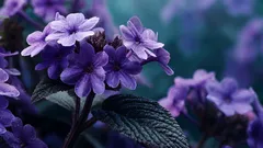 Ani levanduľa, ani jazmín: rastlina voňajúca po vanilke, o ktorej takmer nikto nevie