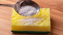 Ako sa zbaviť nadmernej vlhkosti v chladničke: zapamätajte si tento trik s hubkou a soľou