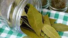 Prečo dať v kuchyni pod chladničku bobkový list: odpoveď pozná len málokto